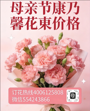太原万柏林区花店母亲节康乃馨花束